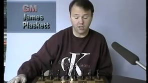 foxy chess videos